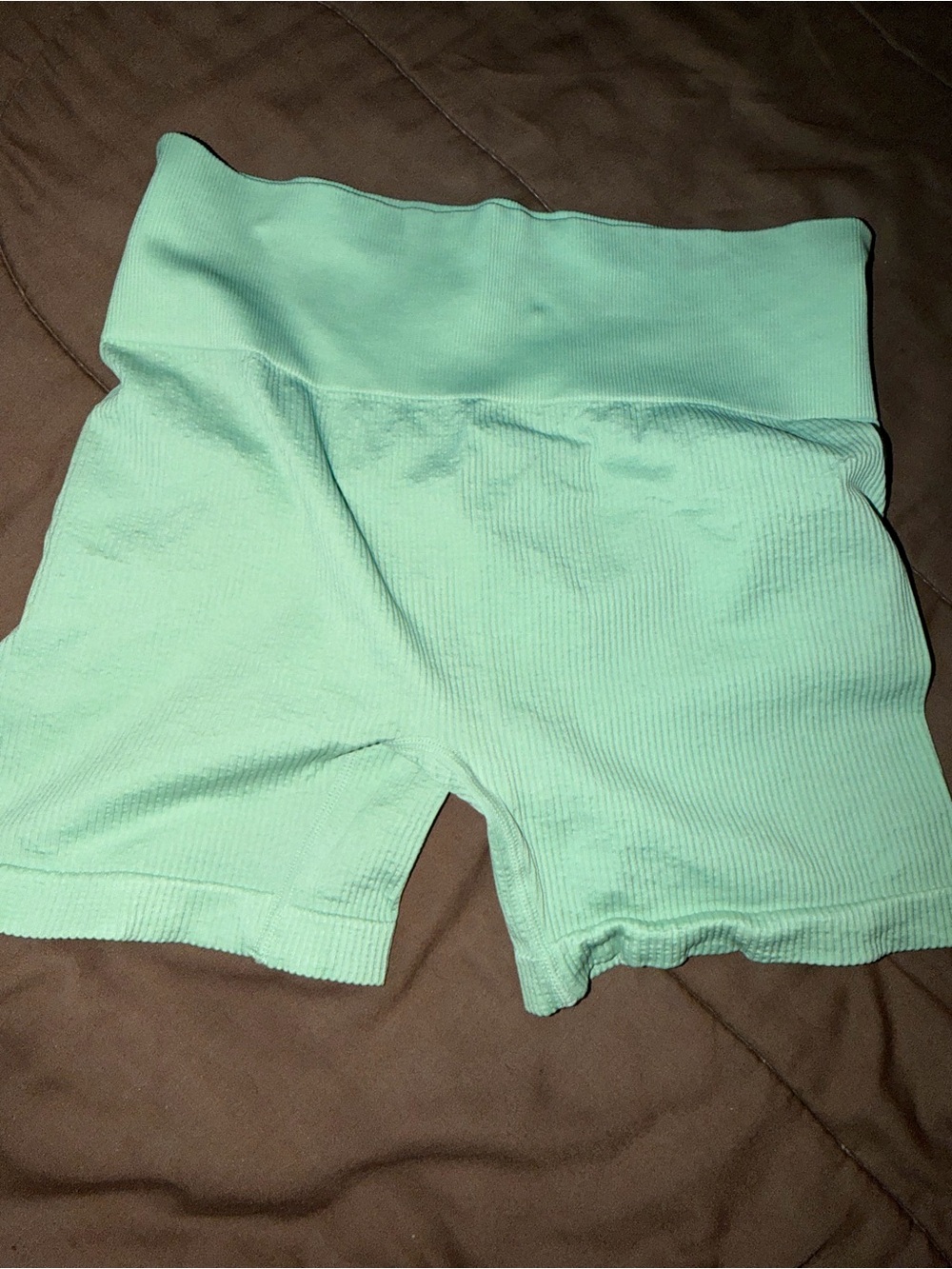 Colsie Mint Ribbed High-Waist Bike Shorts